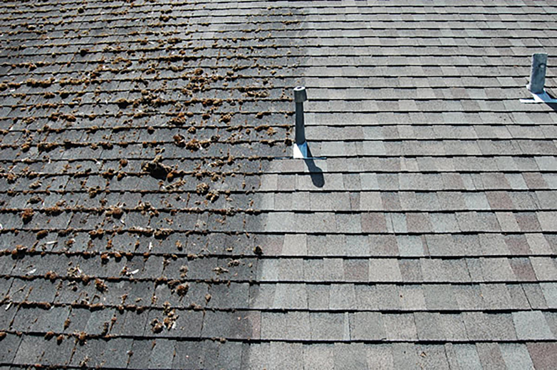 Roof shingles shown before and after professional roof washing